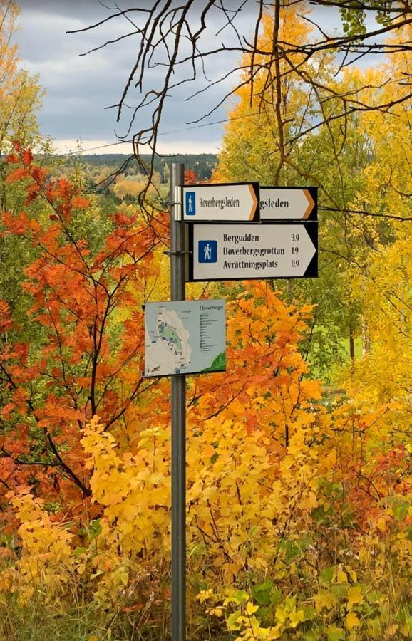 Strandgarden Hoverberg. Svenstavik Zewnętrze zdjęcie